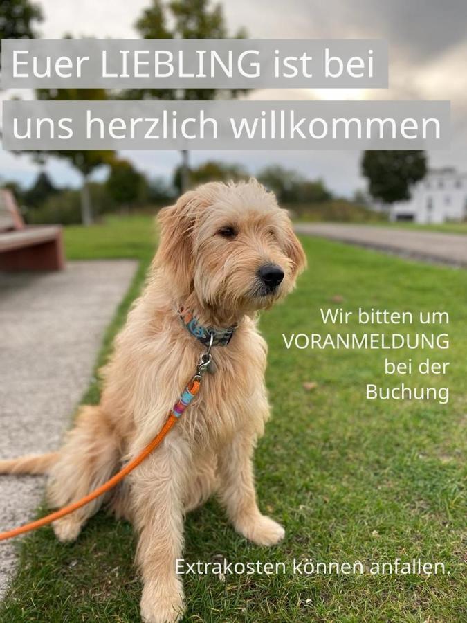 FeWo TIMON großzügig modern mit Terrasse ca 50 qm Hamm  Exterior foto
